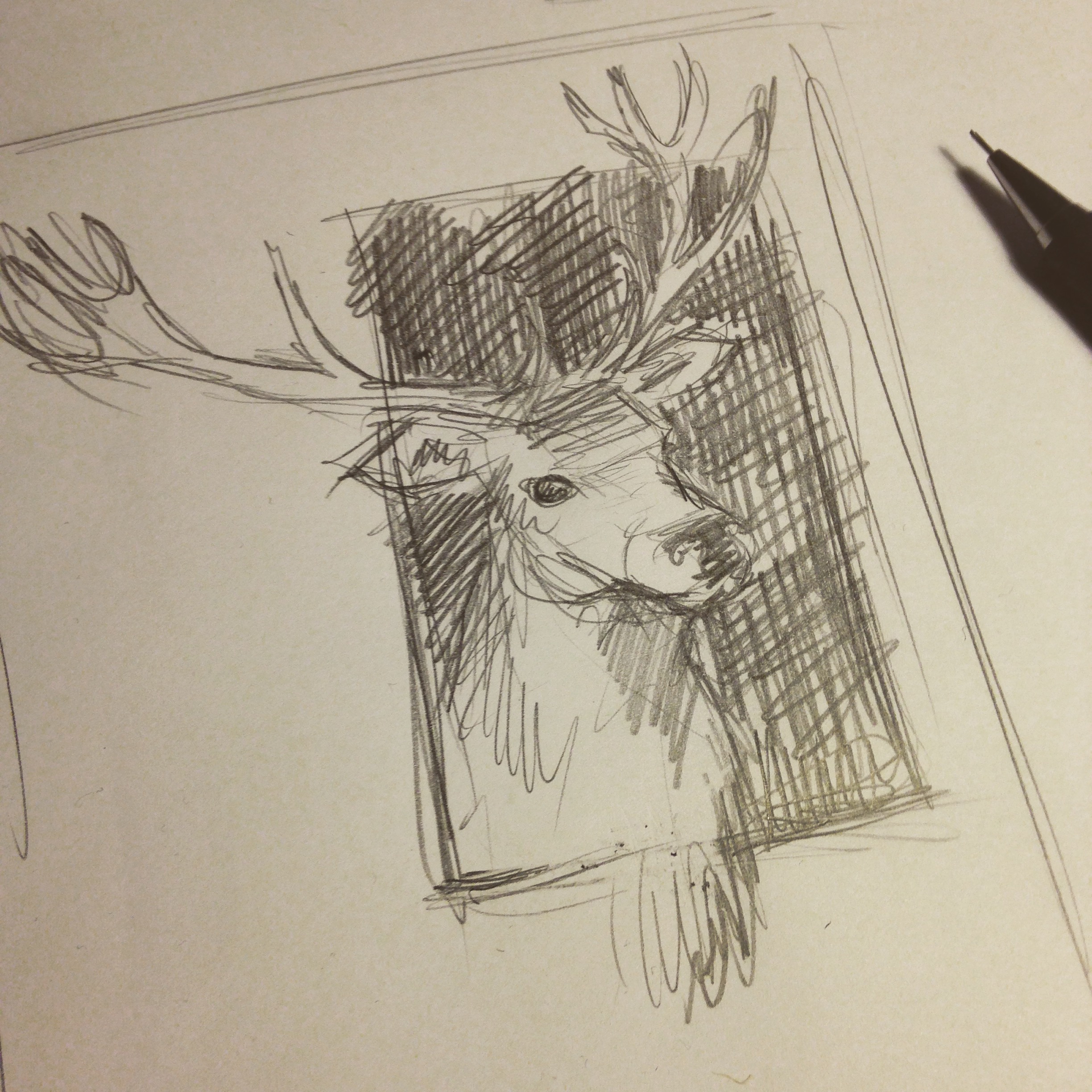 skitse af hjort, illu og foto Hektor Stokhol