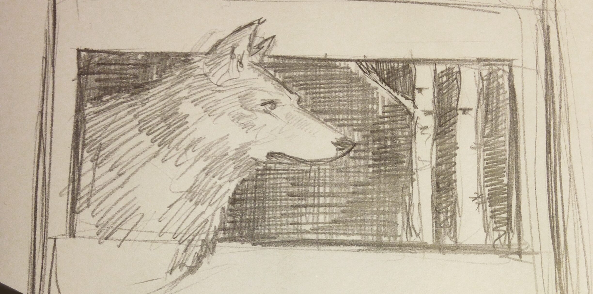 skitse ulv_Hektor Stokholm